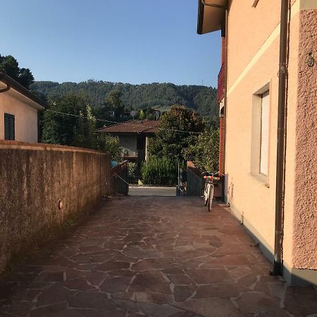 Villa Ester Camaiore Exteriör bild